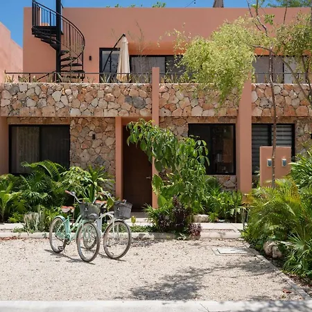 Casa En La Selva Villa